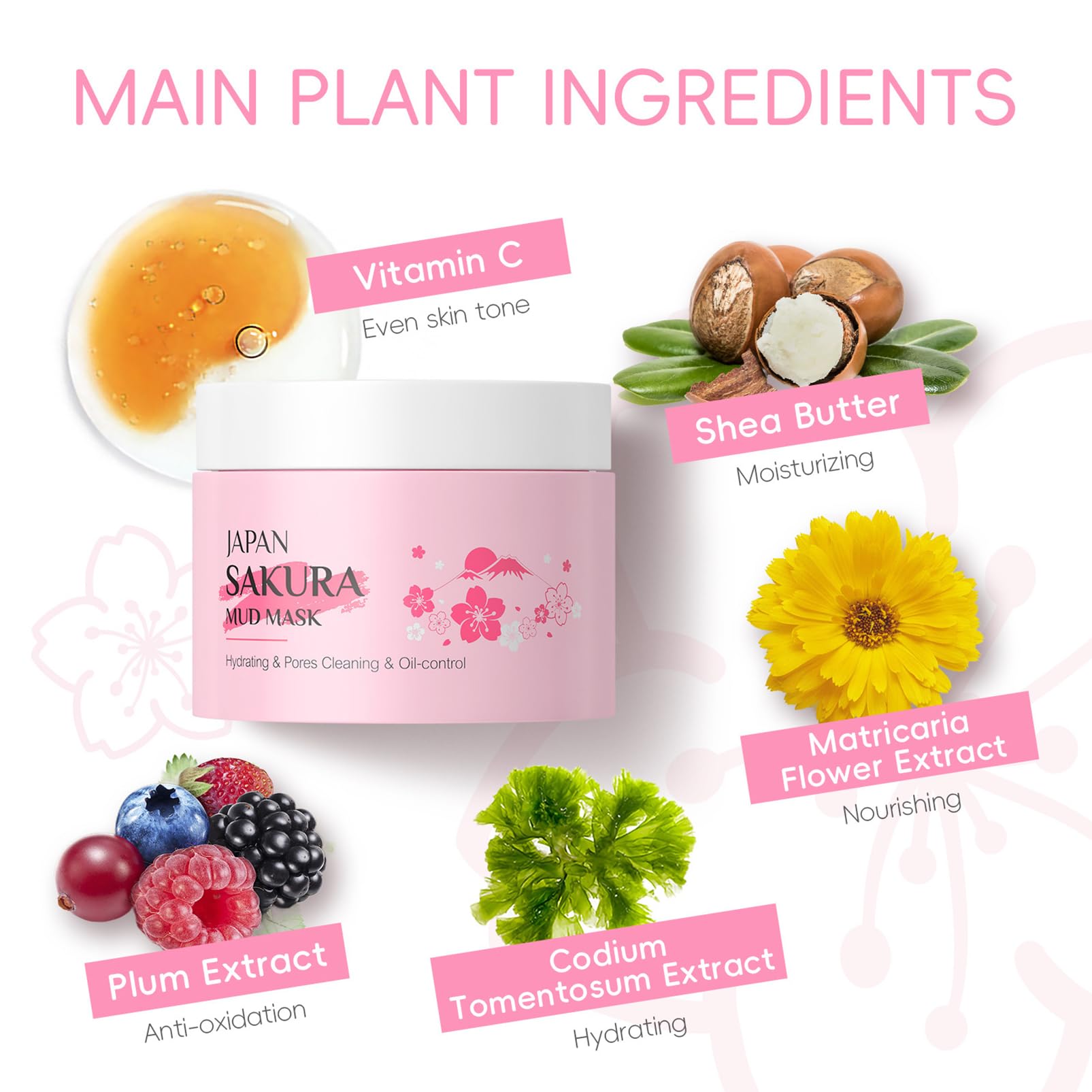Fashion Base Sakura Face Cream 30g moisturizes and smooths the skin
