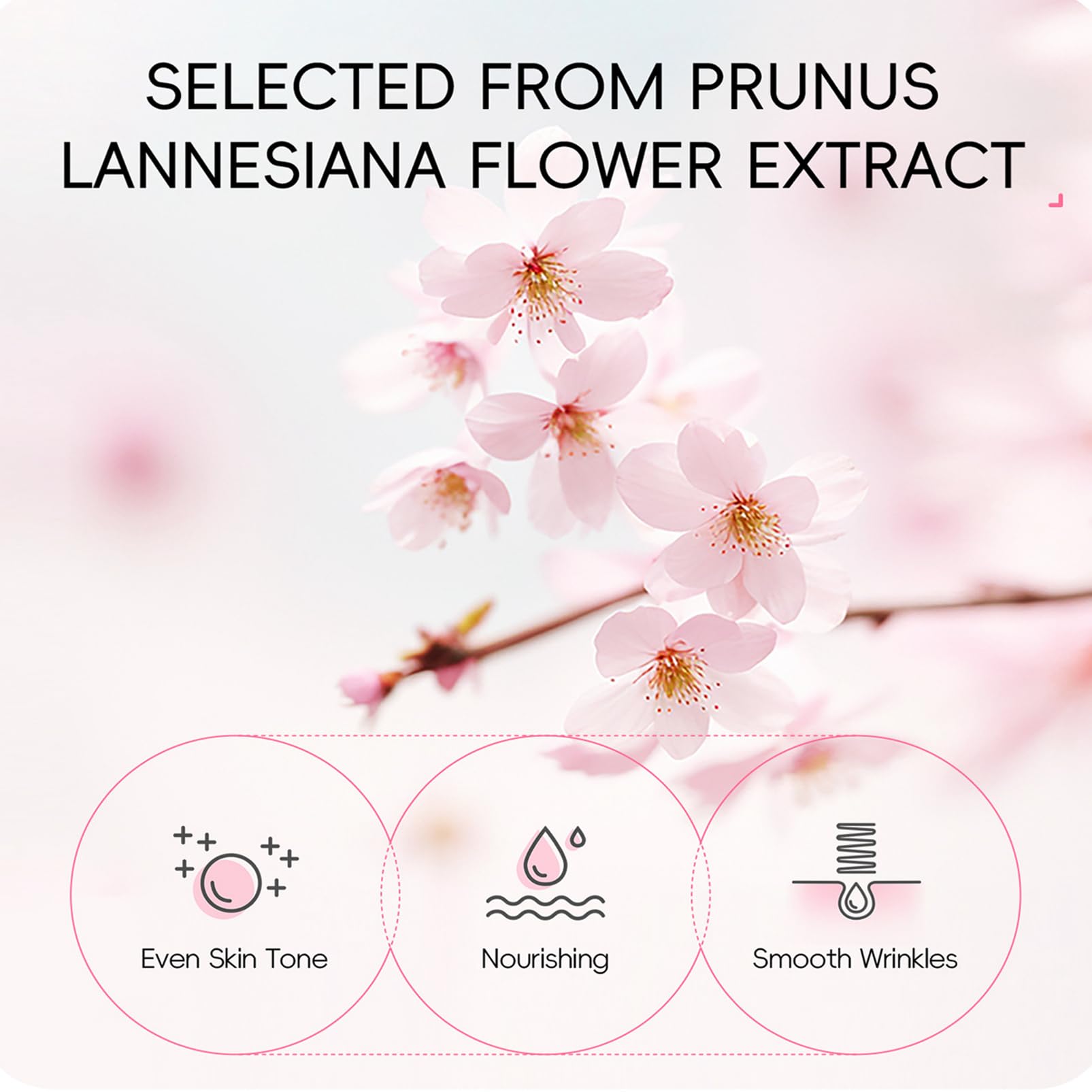Fashion Base Sakura Cleanser bottle ready for daily use.