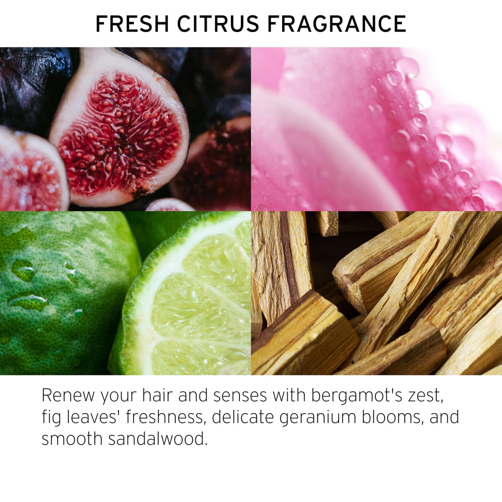 Fekkai fragrance notes of citrus and woods for daily styling