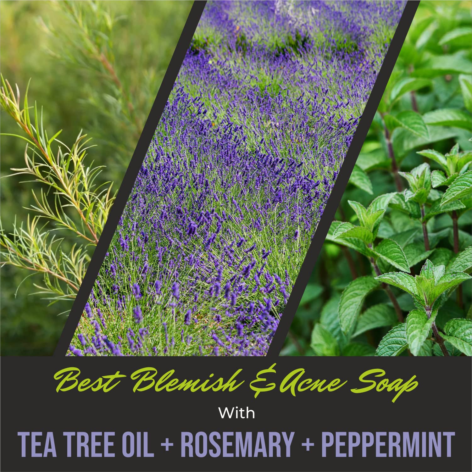 First Botany Rosemary Mint rosemary oil focus with aromatic benefits.