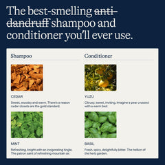 Flakes shampoo lather action demonstrates rich, even coverage.