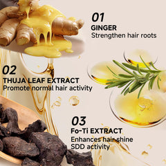 FLEXQW ginger extract ingredients cueing natural herbal benefits