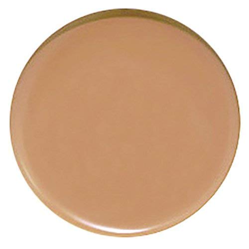Flori Roberts foundation swatches displaying 14 shade options