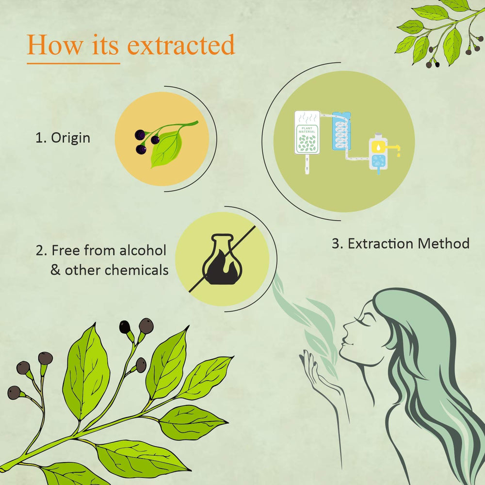Florona Camphor Oil for facial care suggests gentle, cooling applications for skin.