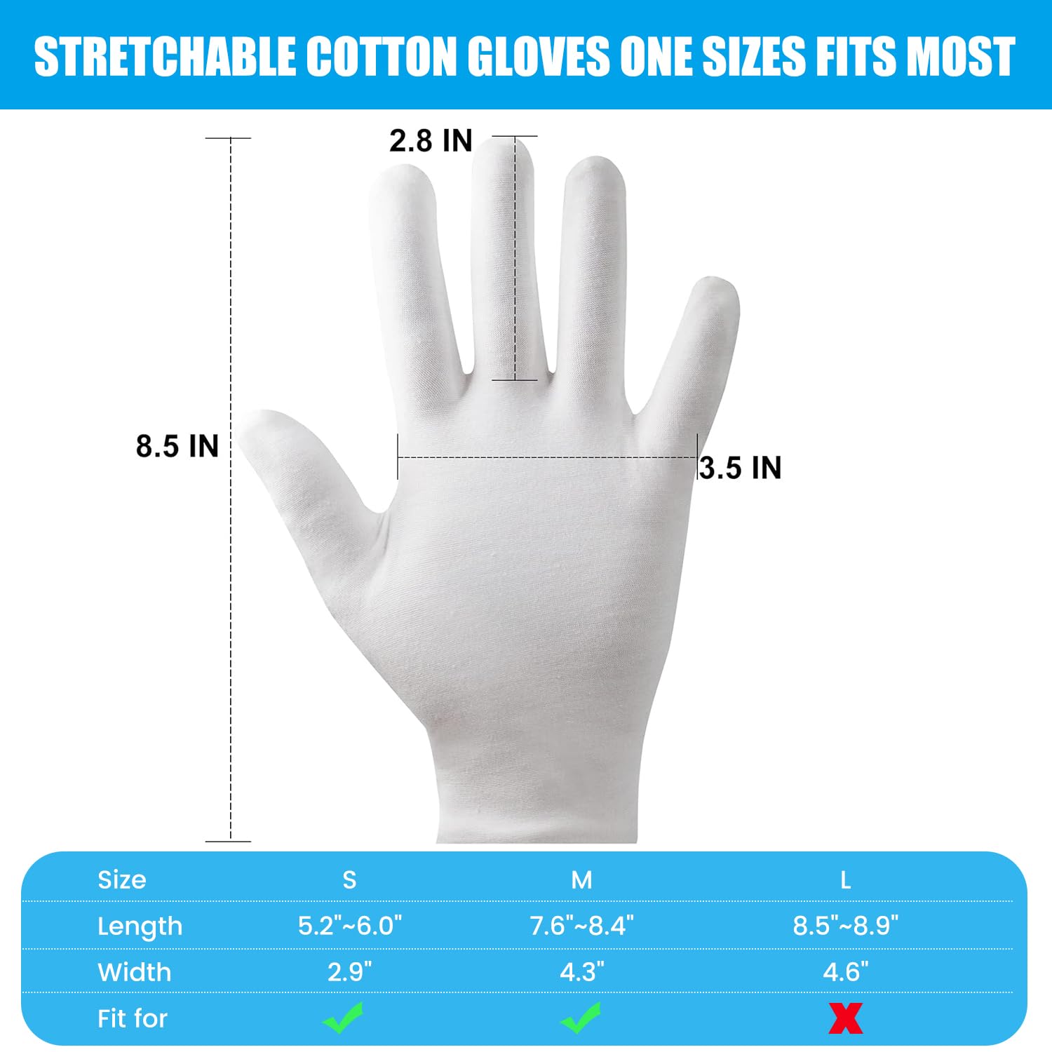 FourSeas museum and dining gloves reduce fingerprints with care.
