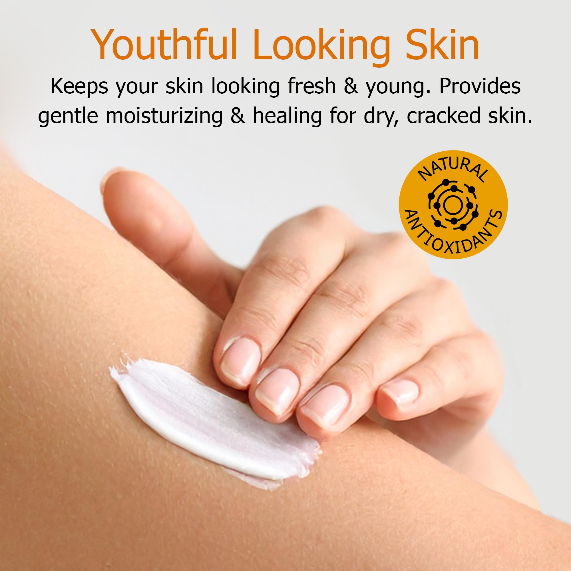 Fruit of the Earth Vitamin E Lotion 16oz aloe ingredients close-up highlights soothing hydration
