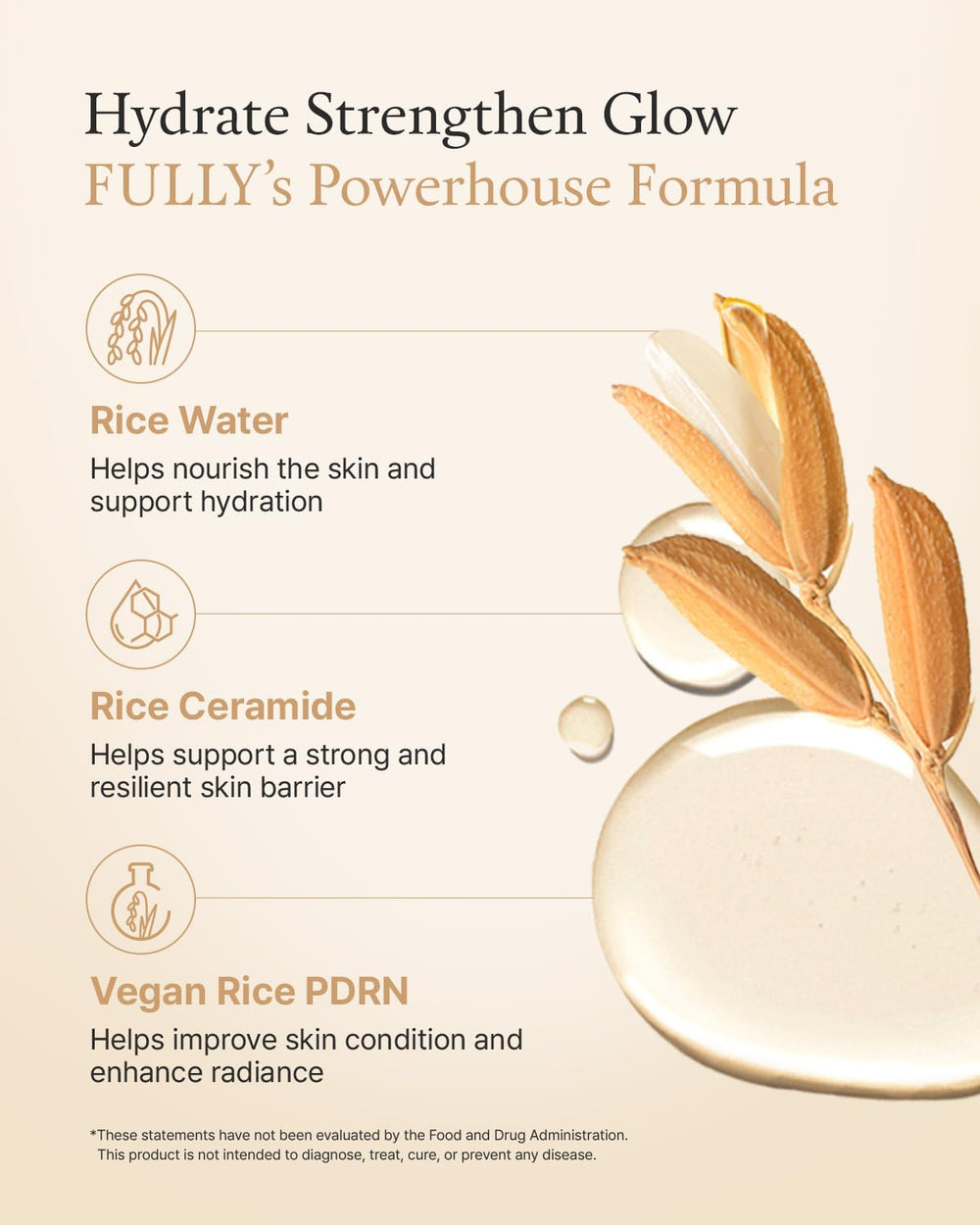 FULLY Rice Ceramide Moisturizing Cream ingredients panel—rice water and ceramide capsules for nourishment.
