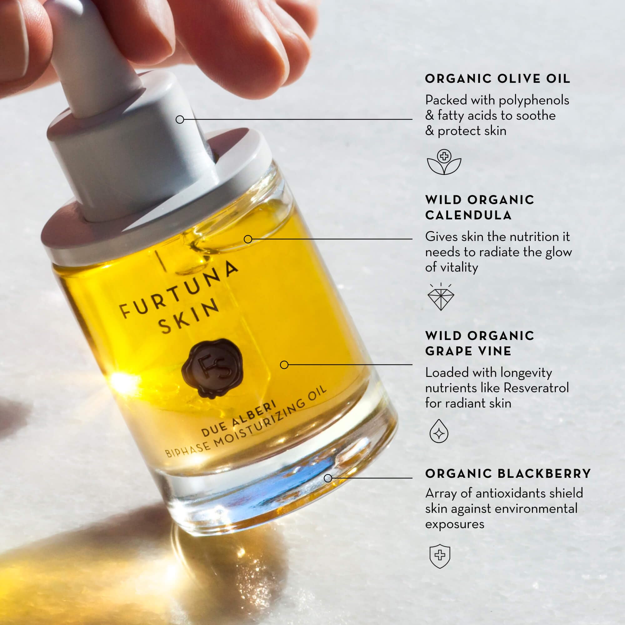 Close-up of Sicilian olive oil infusion in Furtuna Skin Biphase Oil.