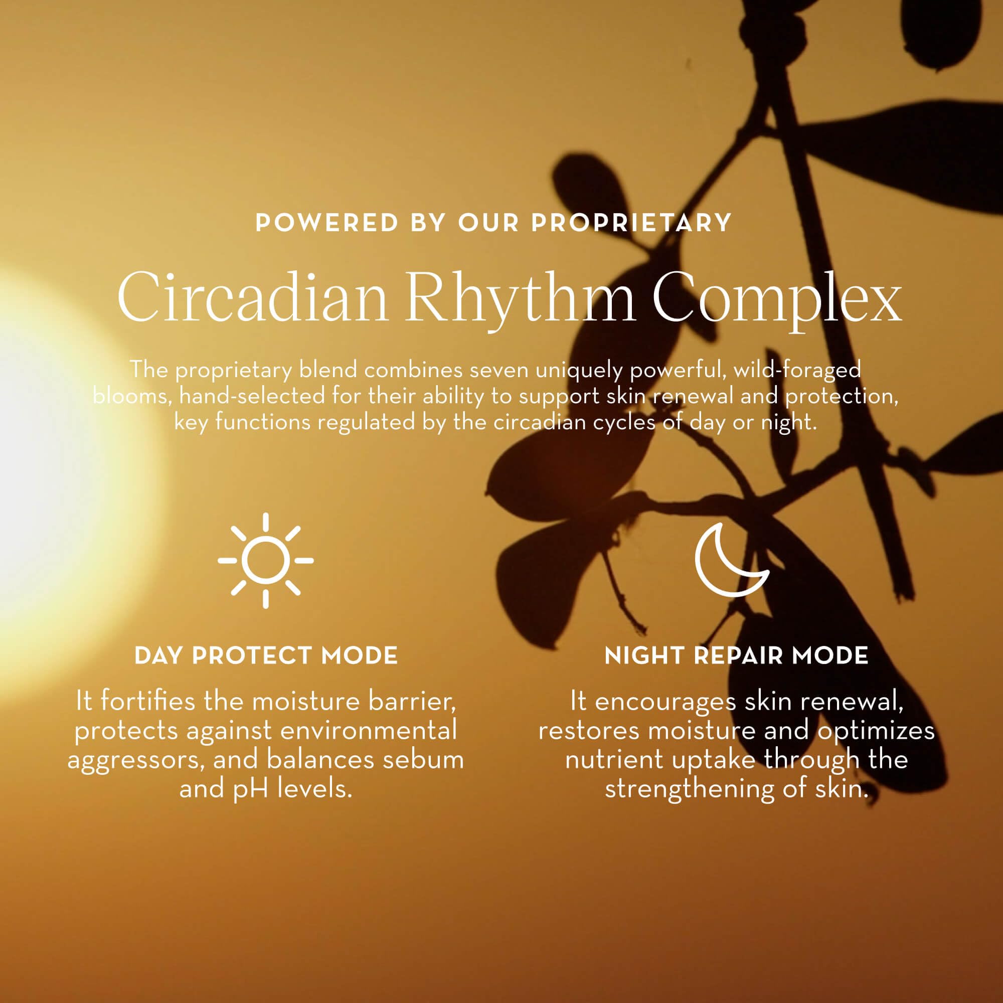 Sustainability badge and Sicilian botanicals featured in Furtuna Skin packaging