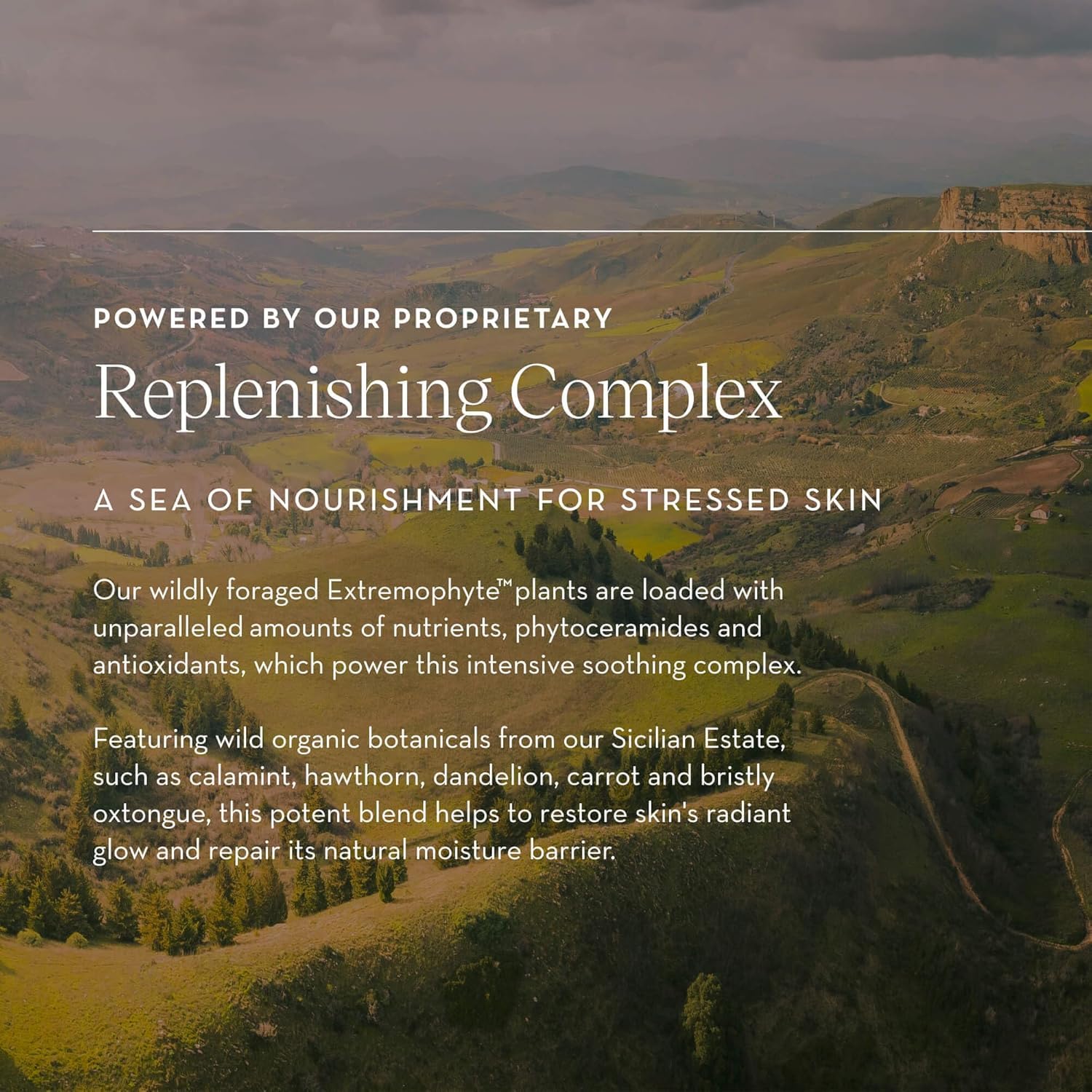 Applying Furtuna Skin Replenishing Balm to face neck and décolleté
