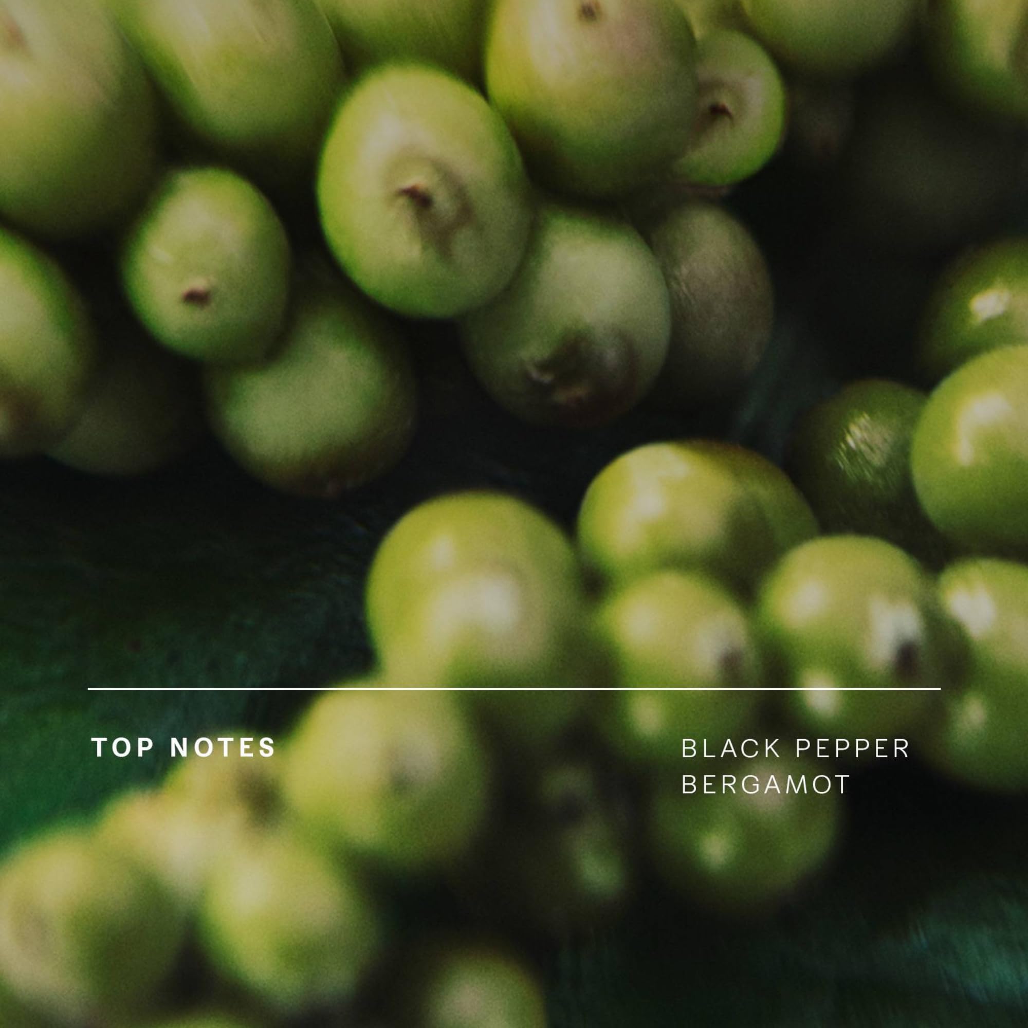 Floating Forest bottle cap detail with sleek, modern design