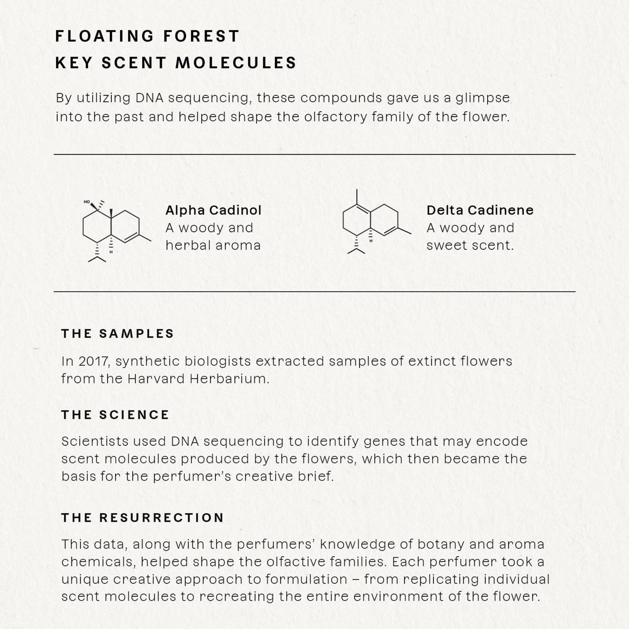 Floating Forest bottle closeup label highlights premium glass and luxury branding