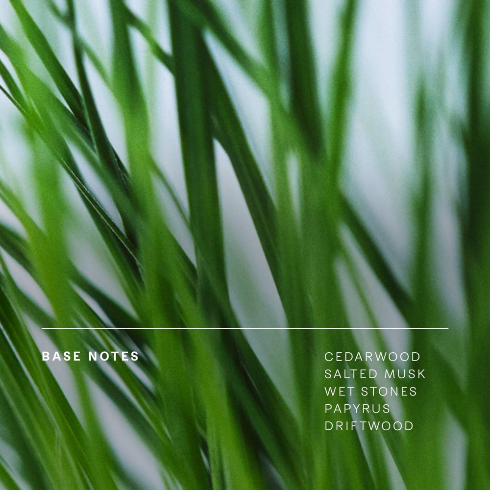 Floating Forest box showcases gift-ready packaging and premium presentation