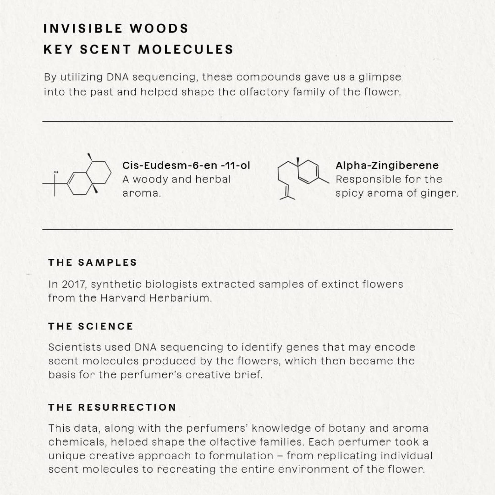 Future Society Invisible Woods label highlighting authentic brand heritage.