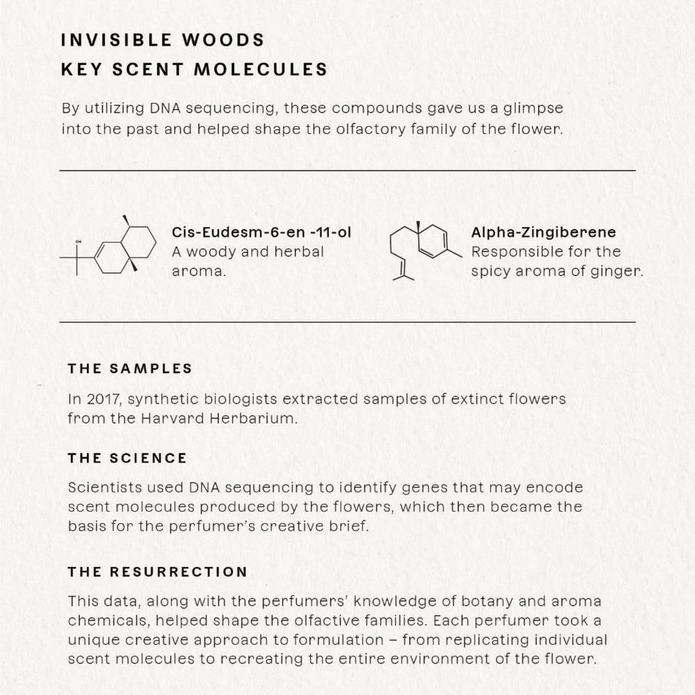 Future Society Invisible Woods label highlighting authentic brand heritage.