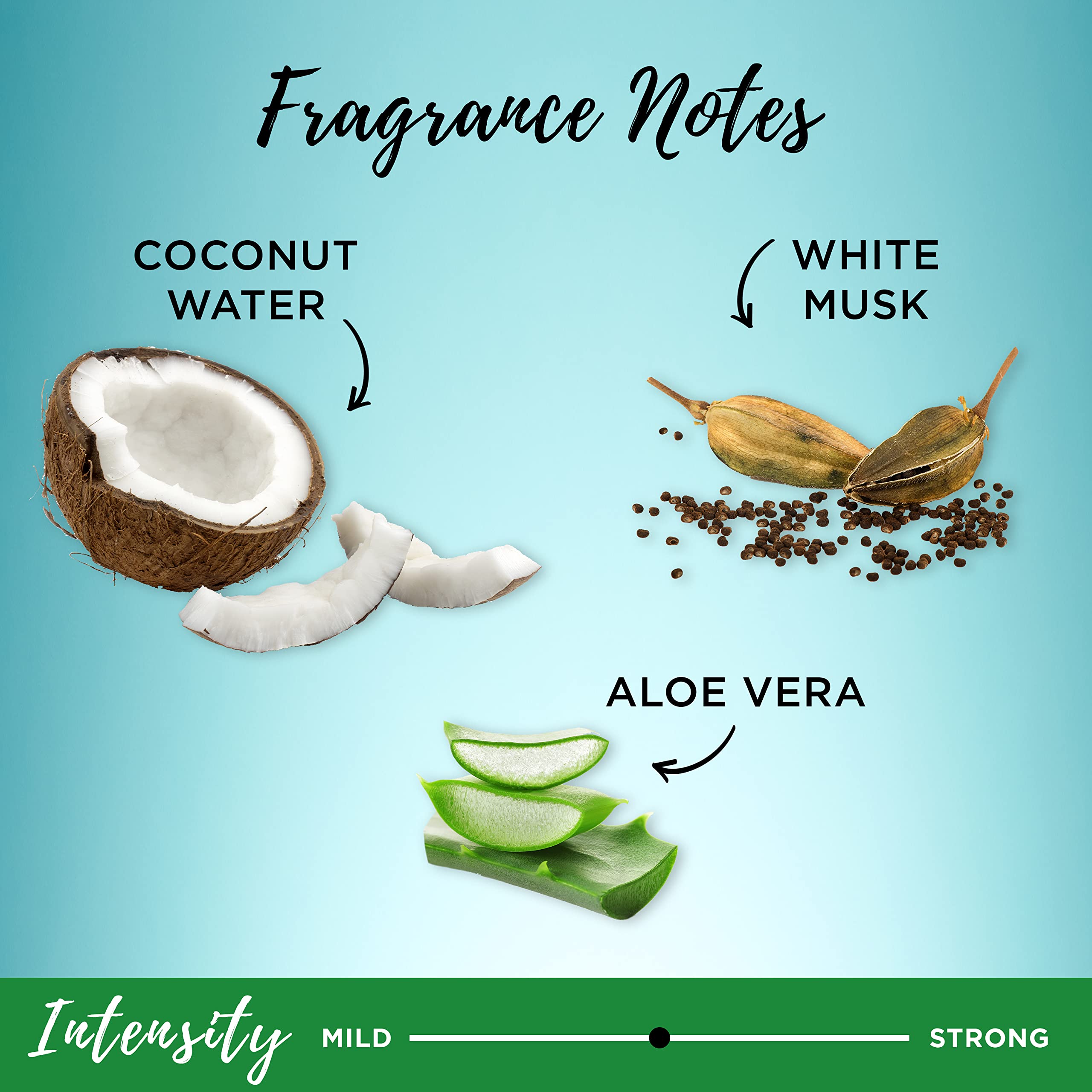 Garnier Whole Blends sustainable aloe vera ingredients show commitment to gentle, natural care