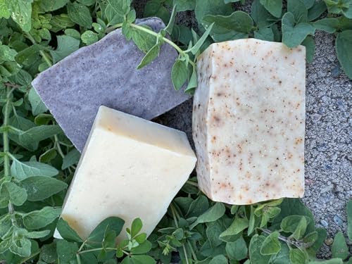 GemTii Rosemary Tea Soap Bar texture with shea butter for rich nourishment.