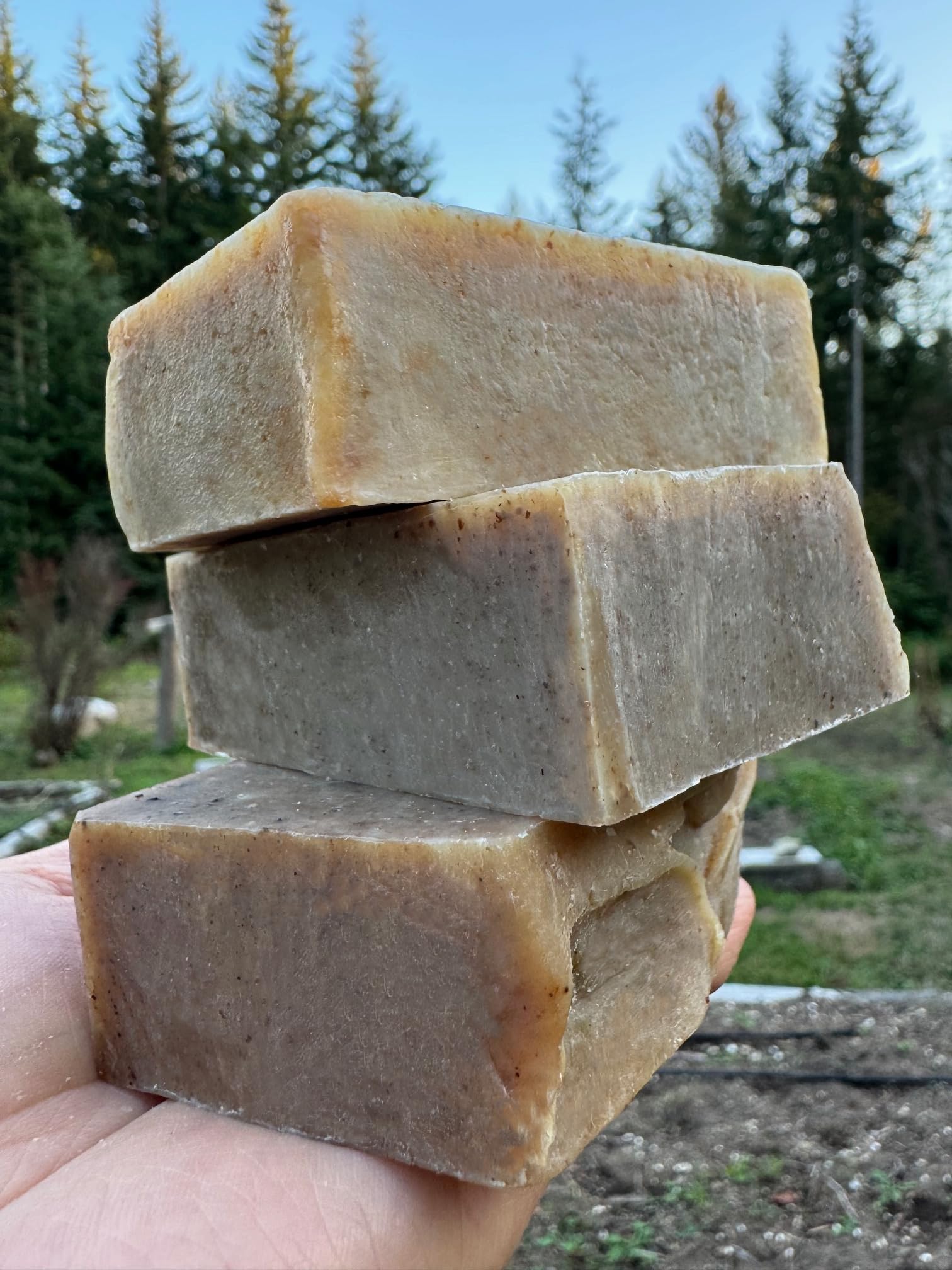 GemTii ingredients highlight olive and coconut oils for silky lather.