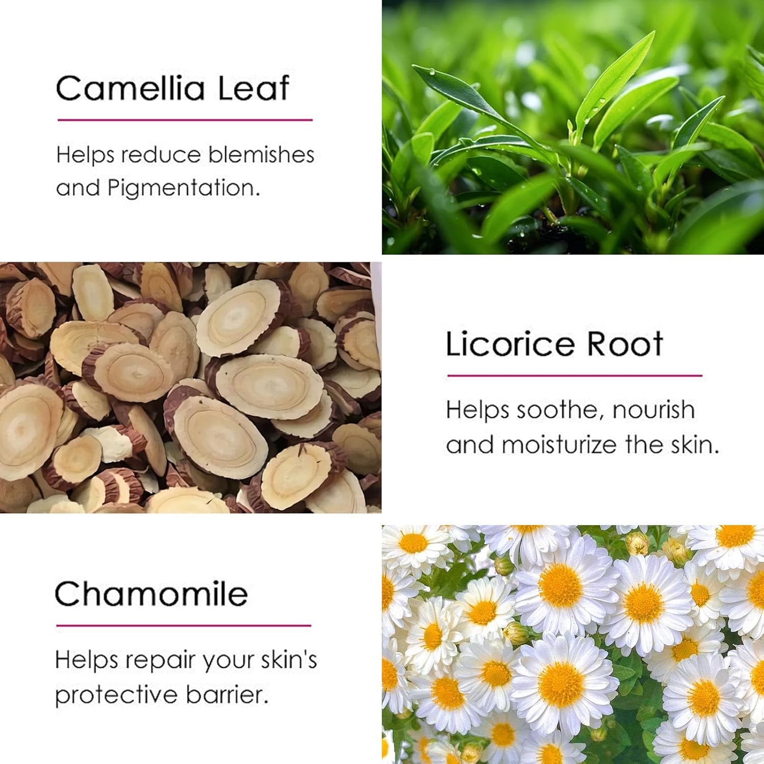 Generic peeling oil with chamomile and licorice ingredients highlighted