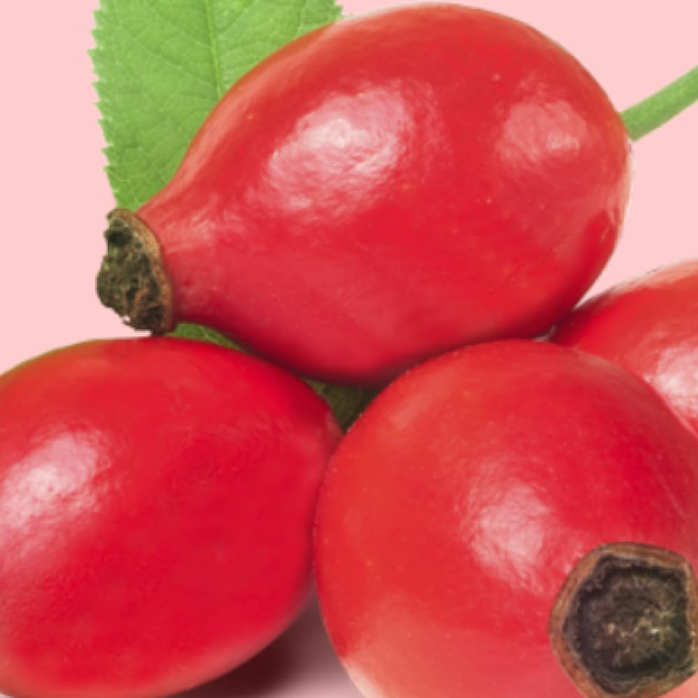 Gift-ready box for Germaine de Capuccini Rose Hip Oil