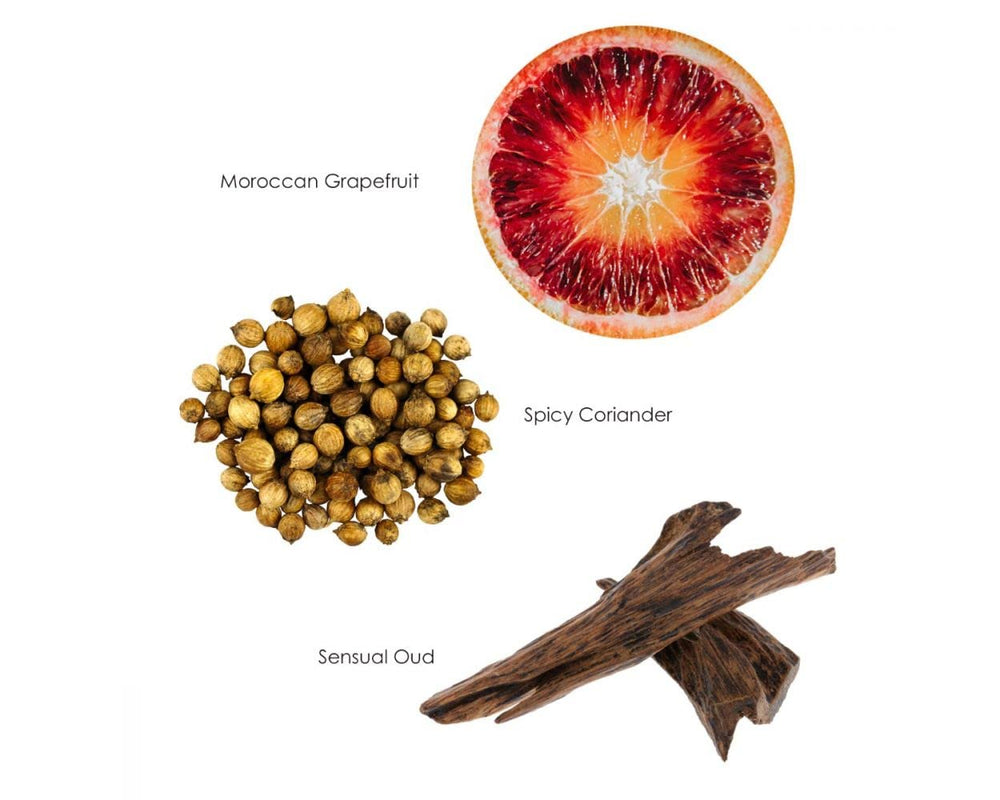 Notes of spice and cedar in Warm Oak scent profile