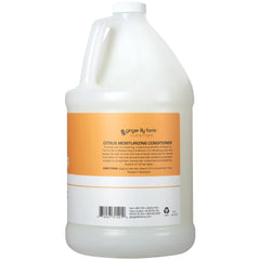Ginger Lily Farms citrus fruits scene with orange and lime, hinting at a refreshing scent