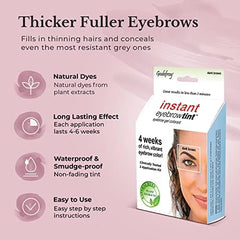 Godefroy brow color step 2 application builds color for brows