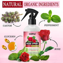 Goiple Rose Water spray mist on locs delivering lightweight moisture.