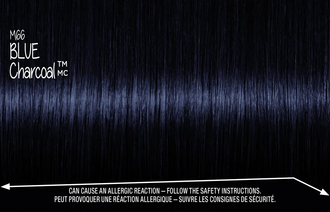 Got2B Metallics Blue Charcoal instruction leaflet guiding usage