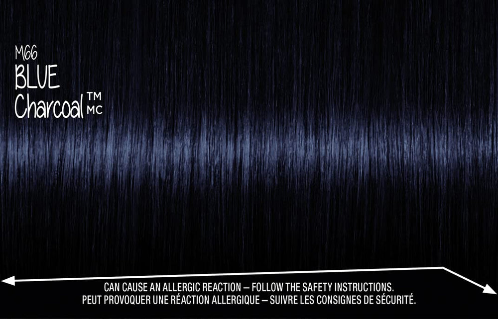 Got2B Metallics Blue Charcoal instruction leaflet guiding usage