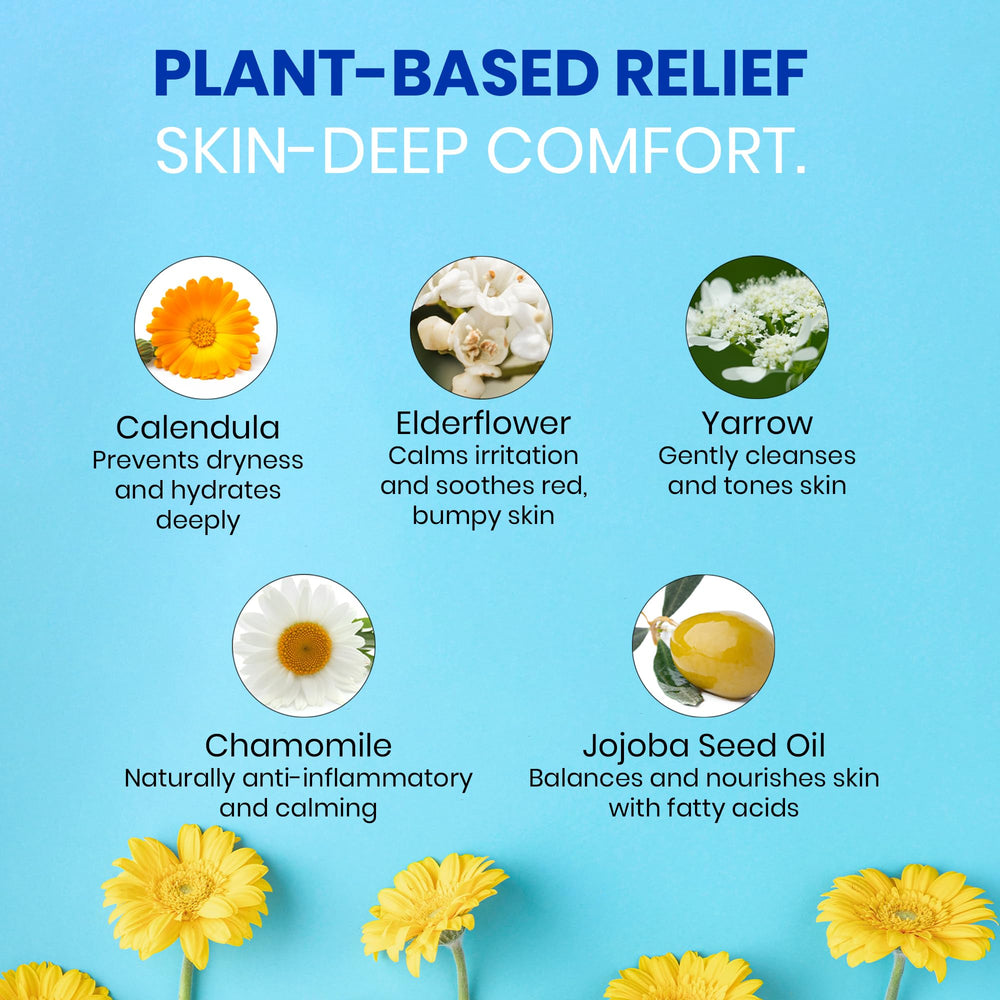Flat lay of Green Goo salve ingredients emphasizing plant-based care.