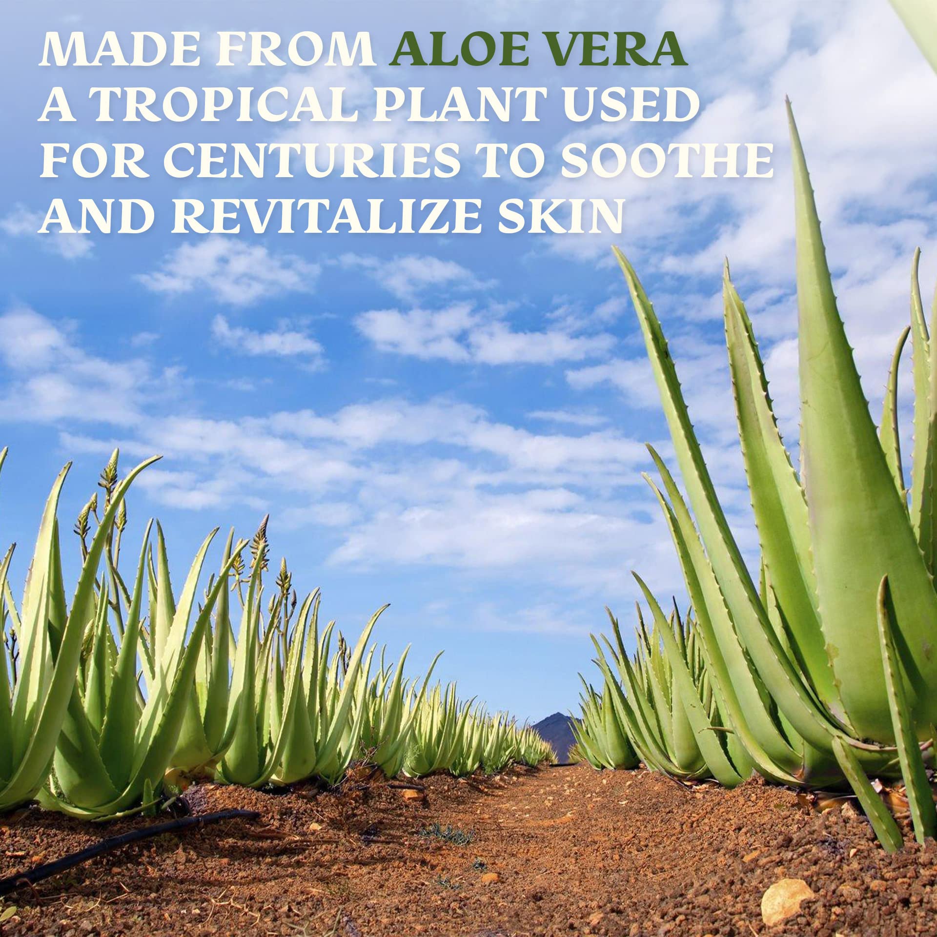 Green Leaf Naturals Amazing Aloe Gel hair-care scene promotes scalp and ends hydration