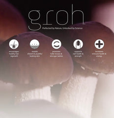 Groh Stimulating Scalp Serum dropper detail highlights precise nutrient delivery