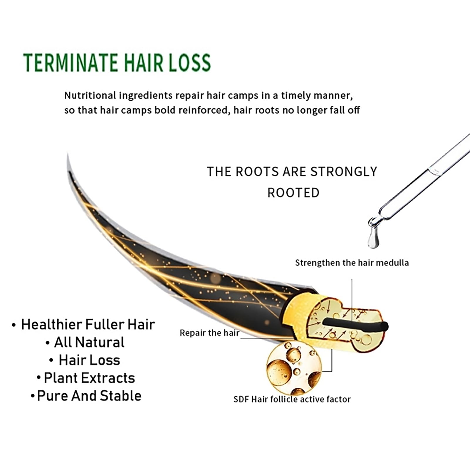Grospe Scalp Health illustration emphasizes improved circulation and refreshed scalp