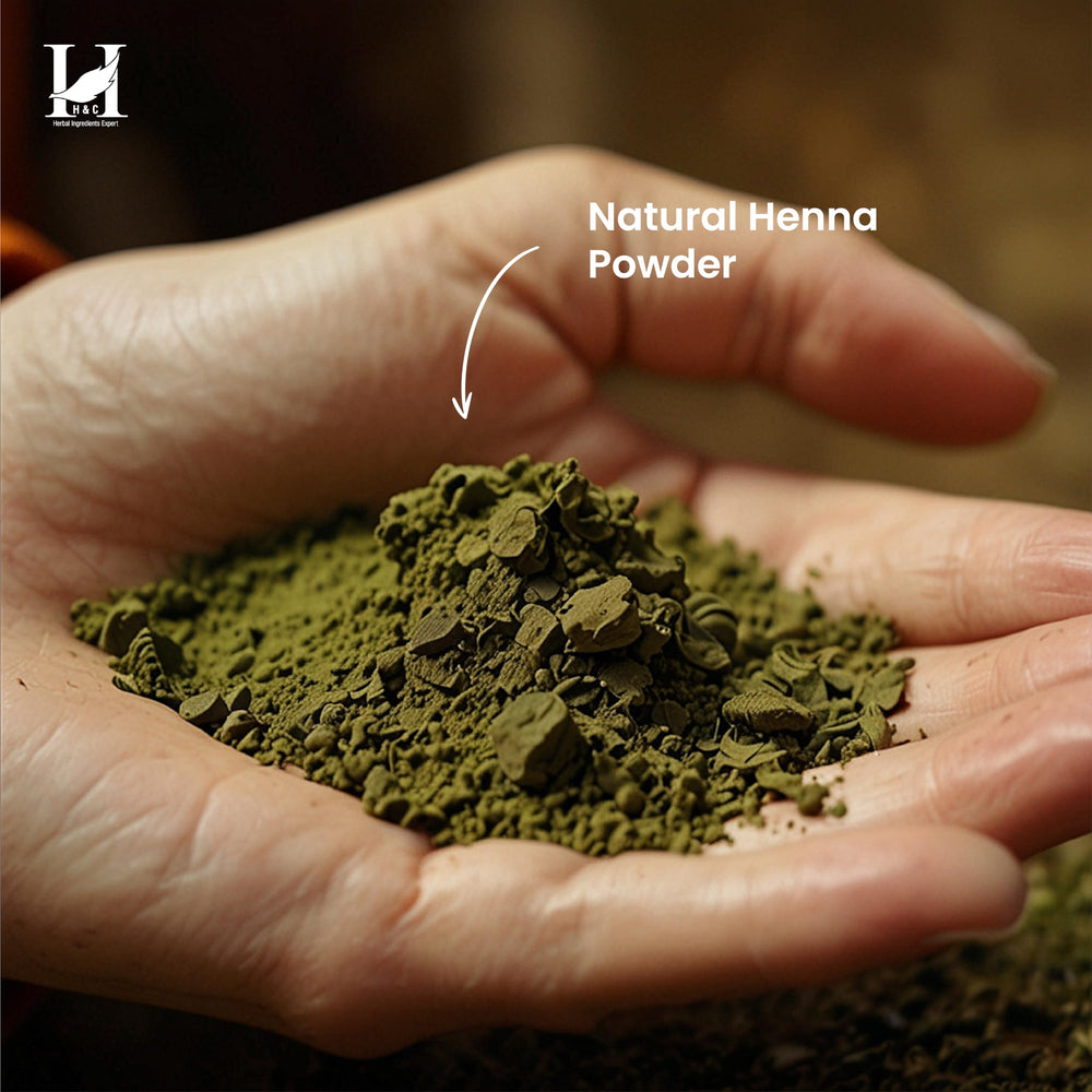 Ready-to-mix paste visual for even hair application with H&C henna.