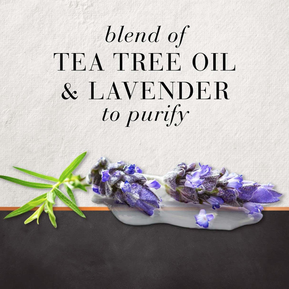 Hair Food Tea Tree Lavender Conditioner being applied to hair for manageability