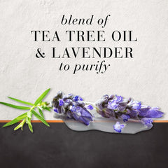 Hair Food Tea Tree Lavender Conditioner being applied to hair for manageability