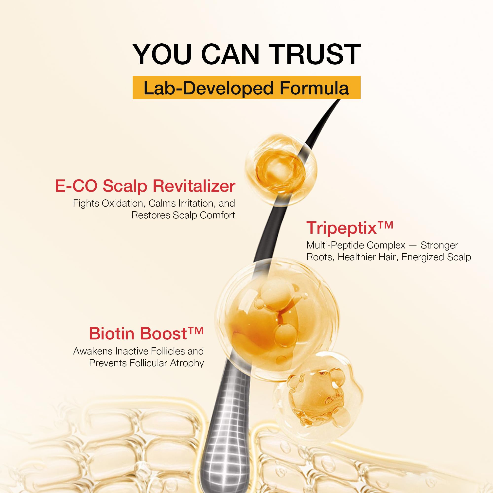 Hair Labs Biotin Peptide Shampoo foam close-up, ideal for daily use.