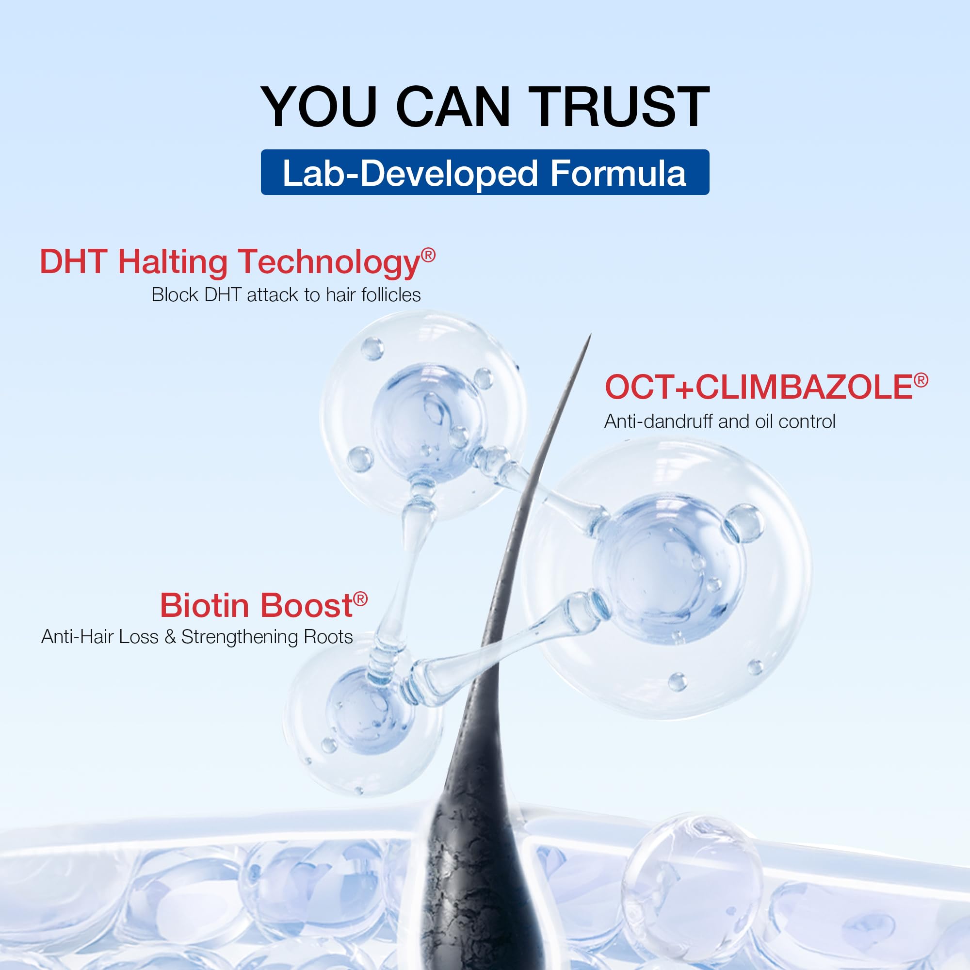 Hair Labs sulfate-free formula panel highlights gentle care