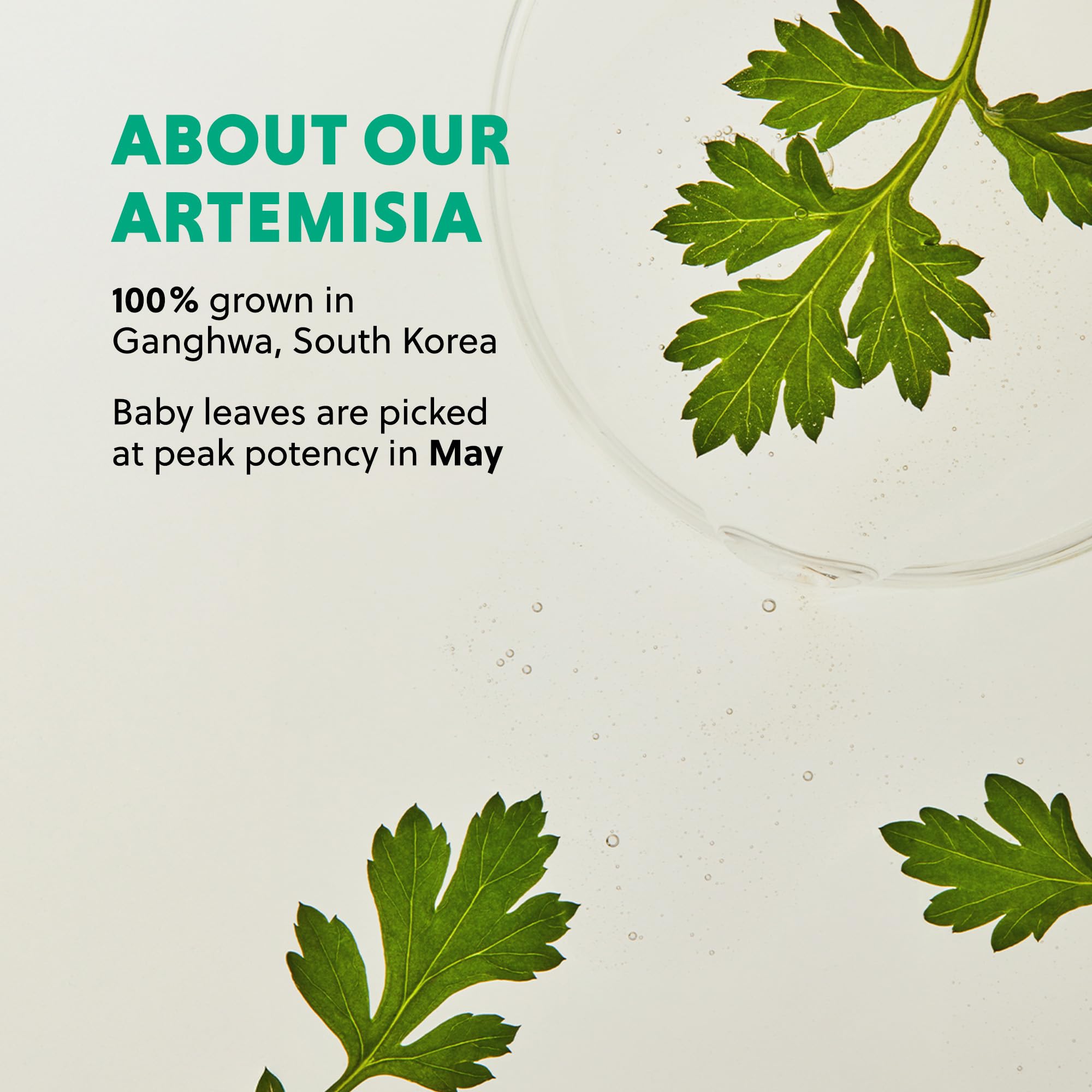 Hanyul Artemisia Soothing Gel Cream is vegan and non-comedogenic.