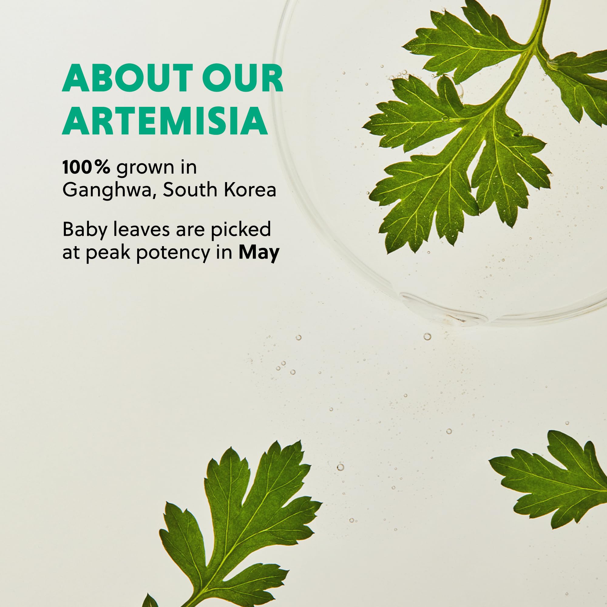 HANYUL Artemisia Toner close up showing a light, hydrating swirl texture.