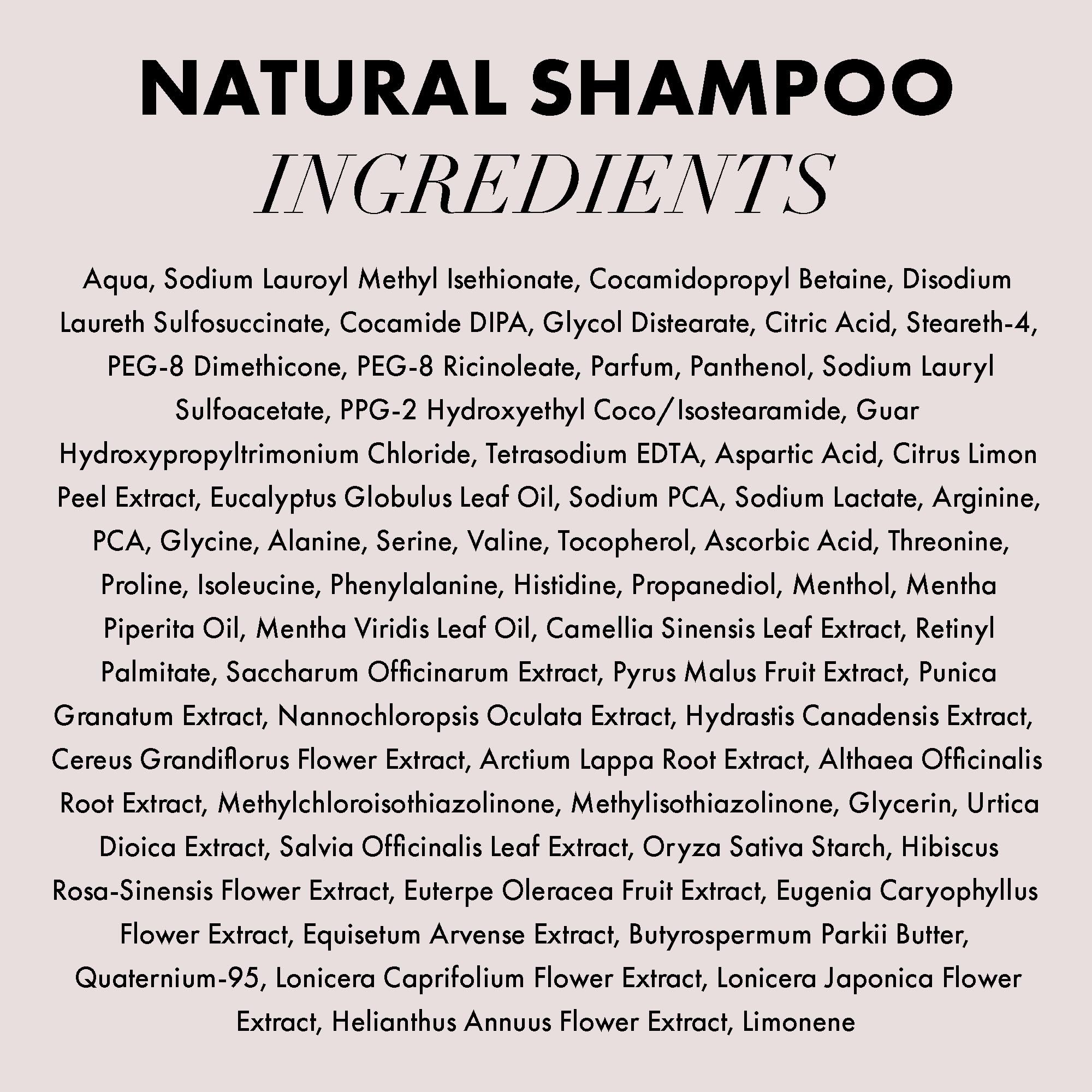 Hanz de Fuko Premium Natural Shampoo packaging shown with eco-friendly design