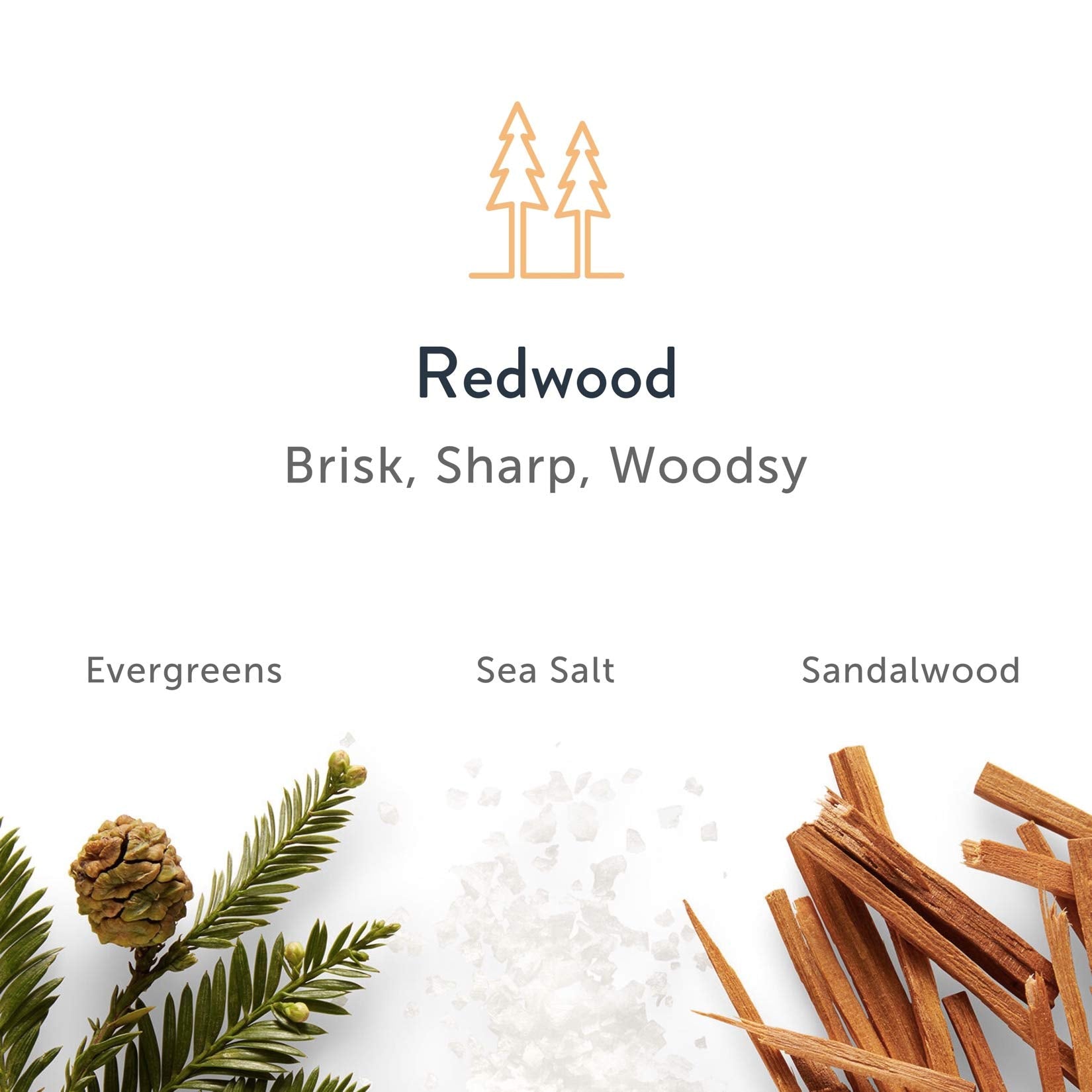 Gift-ready Harry's Redwood antiperspirant set for him.