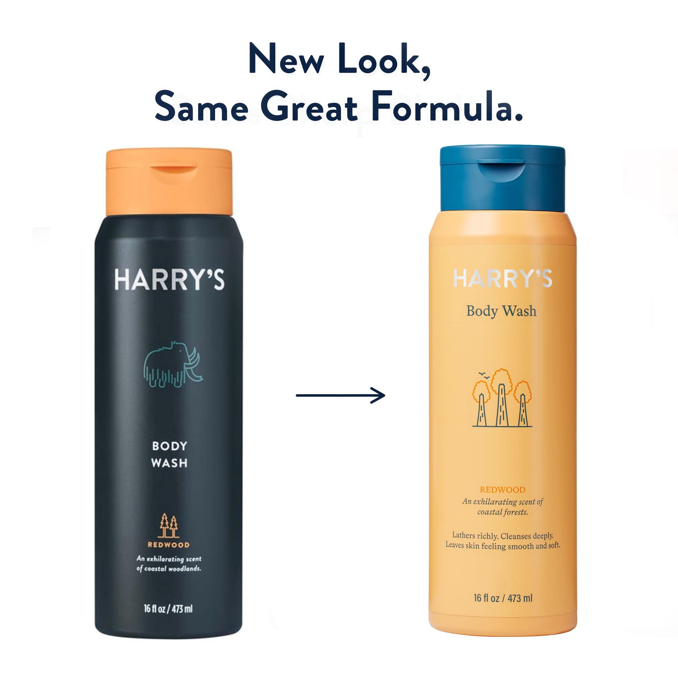 Harry's Redwood body wash skin-demo showing conditioning without drying.