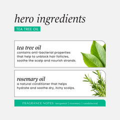 HASK biotin thickening dry shampoo energizes limp strands between washes.