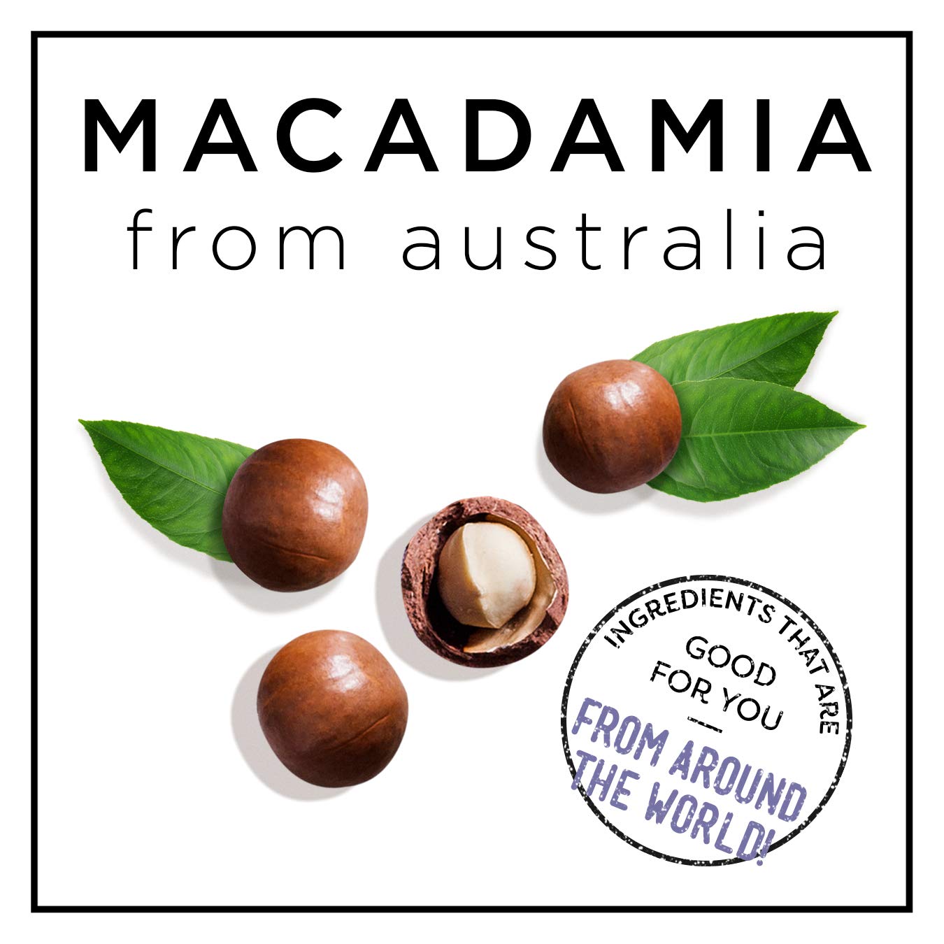 Applying HASK Macadamia Oil Shine Treatment to wet hair for smooth results.