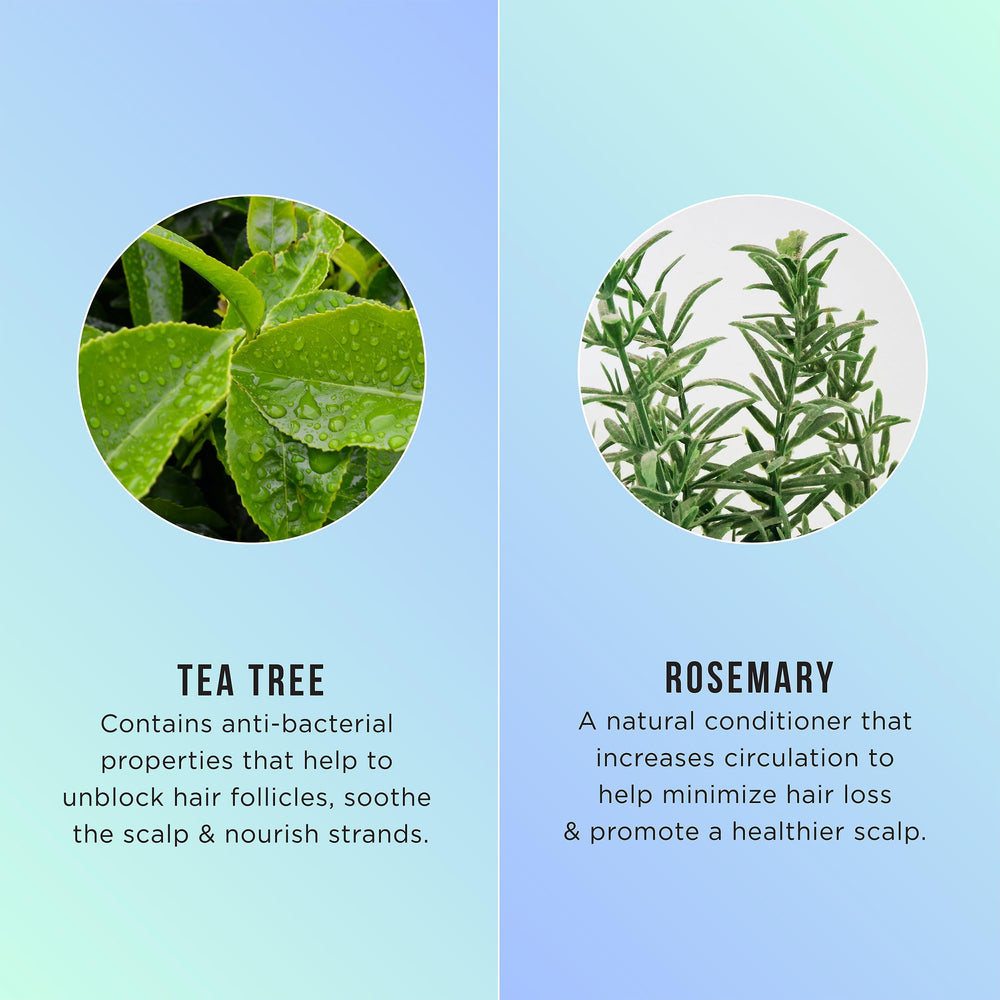 HASK Tea Tree Oil & Rosemary scrub rinse-off after treatment
