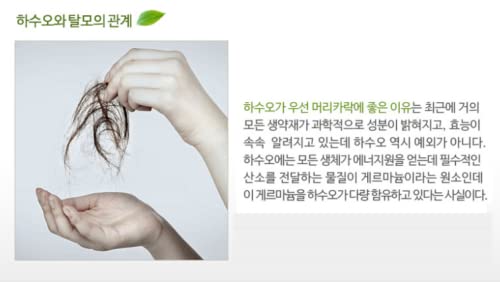 Rich lather from Hasuo Herbal Essential Shampoo during routine wash.