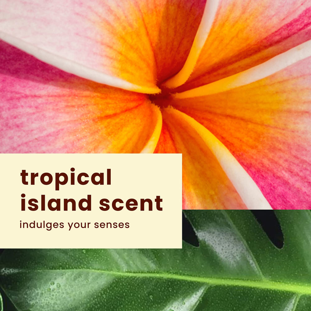 Hawaiian Tropic sun care pack with sunscreen and after sun moisturizer