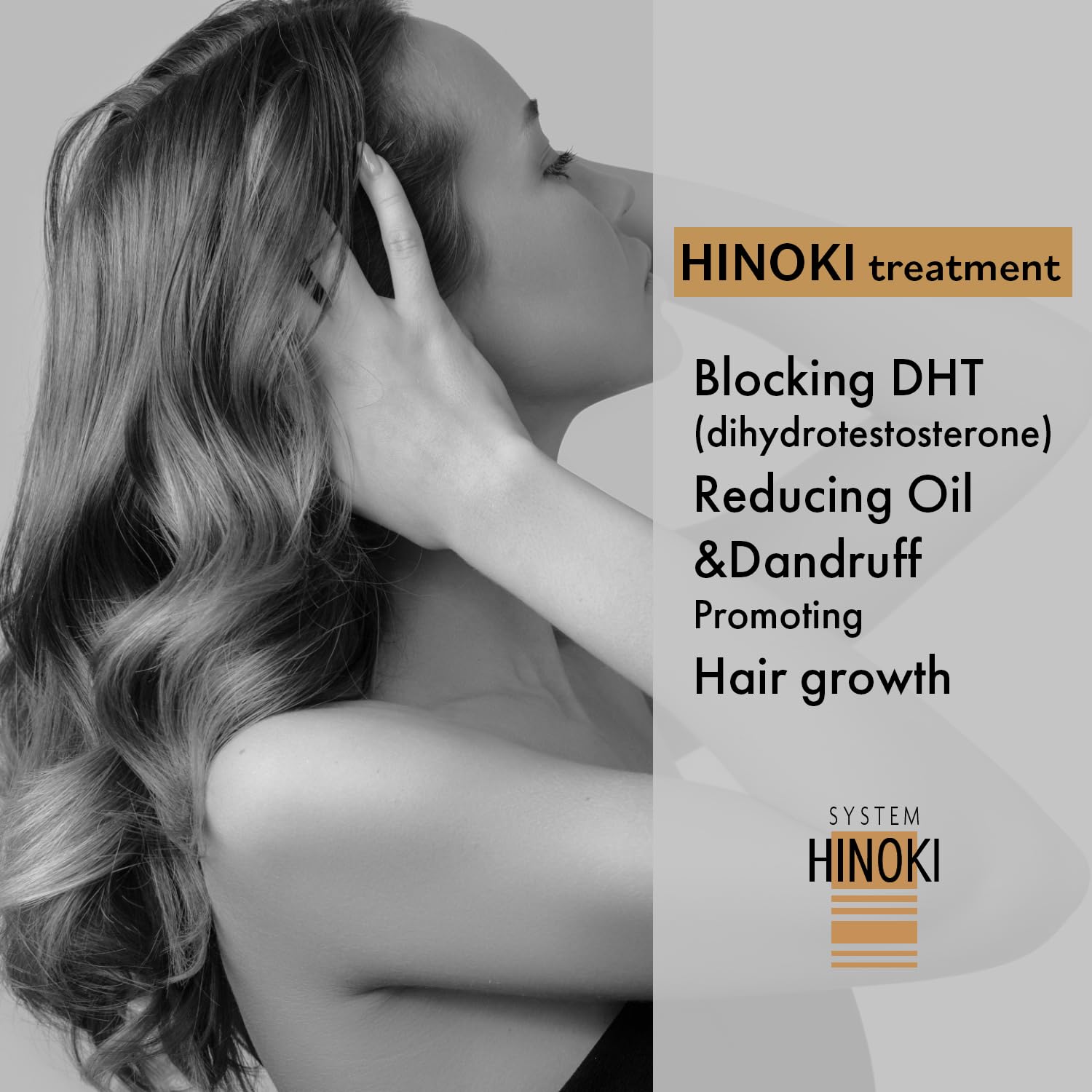 Hayashi Hinoki Shampoo ingredients-hinoki-oil emphasizes aroma and gentle care